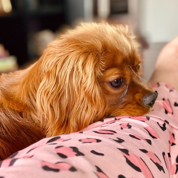 Meet your Posher, Agnieszka - Picture 7 of 7